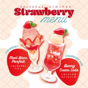 タイヨウノカンカン　いちご　缶のみ　４つセット 重要】今季最後の販売🍓いちご缶の販売について 2025.2.15更新