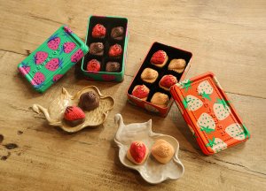 手紙社オンラインショップ【 月刊手紙舎 】 2025いちご缶お